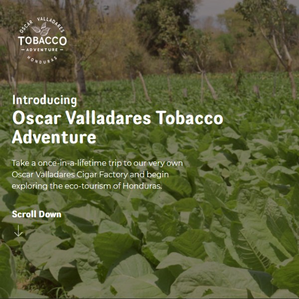 OV Tobacco Adventure